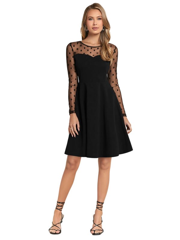 Black Polka Dot Mesh Long Sleeve A-Line Dress