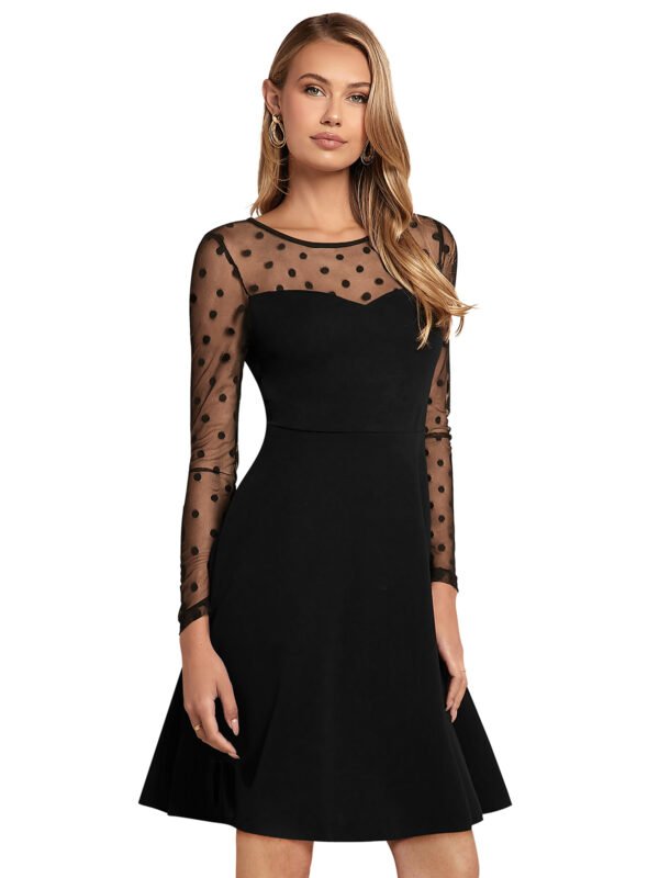 Black Polka Dot Mesh Long Sleeve A-Line Dress