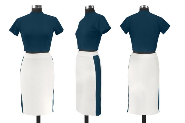 Two-Tone Colorblock Short Sleeve Crop Top and High-Waist Midi Skirt Set